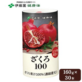 【伊藤園 健康体 公式通販】ざくろ100 160g 30本入 ざくろジュース ザクロジュース ポリフェノール エラグ酸 美容 健康維持 果汁100% フルーツ 果物 ジュース まとめ買い【レビューキャンペーン対象】