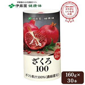 _15IΏۏi|Cg10{^yɓ N ʔ́z100 160g 30{ W[X UNW[X |tFm[ GO_ e Nێ ʏ`100% t[c ʕ W[X