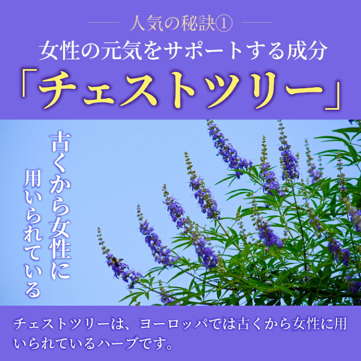 楽天市場 チェストツリー チェストベリー サプリ サプリメント コラーゲン エキナセア ハーブ 配合 ウーマンリズムケア 90粒 3ヶ月分 送料無料 女性 イライラ 対策 国産 亜鉛 ビタミン ユーグレナ 鉄 マルチビタミン 生理前 生理 妊活 治療薬 Pms では