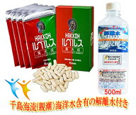 【送料無料】HAKKOHルベルス集大成（しゅうたいせい）60粒×4パック（60日分）【トキワ漢方製薬】超解離…