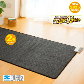 【電気ホットカーペット1畳用 ZCB-10S 】本体のみ 電磁波99％カット 暖房機 ゼンケン 【直送につき代引・同梱不可】正規代理店