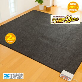 【電気ホットカーペット2畳用 ZCB-20S 】本体のみ 電磁波99％カット 暖房機 ゼンケン 【直送につき代引・同梱不可】正規代理店