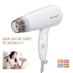 �y�d���g�ጸ �w�A�P�A�h���C���[ �z���C �g�zZD-750W �[���P�� ���ԊO�� �ቷ�� 60�� �啗�� �d���g�J�b�g �w�A�P�A �L���[�e�B�N���ی� ���K�戵�X ���S��1�N�ۏؕt��