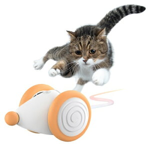 Ly EBLbhE}EX (AvRbg) Lp