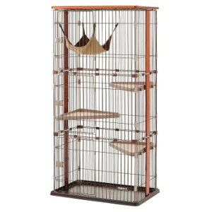 {r EbhT[NLbg 3i^Cv (LpP[W)