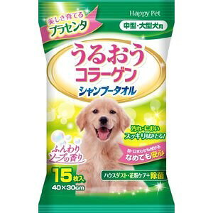 ���i�摜