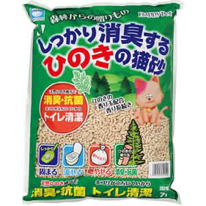 A[X LЂ̂̔L Xт̑ 7L