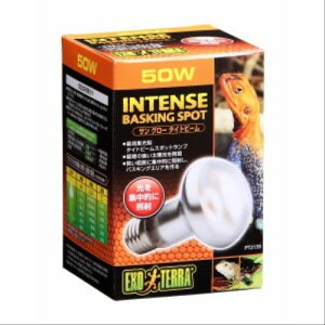 ��GEX(�W�F�b�N�X) �T���O���[�^�C�g�r�[�� 50W [PT2135]