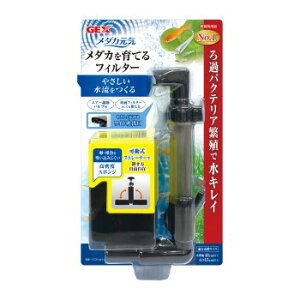 GEX(WFbNX) _JC _JĂtB^[