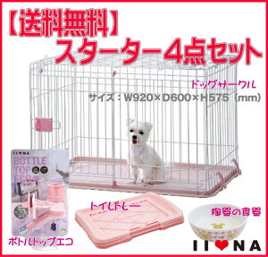 IINAiC[ij X^[^[4_ZbgisNj