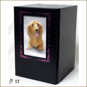 ybgp كJo[u₷炬̉Ɓv 4܂ŗpi畿jN