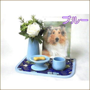 ybgp 킢TCỸybgi3_Zbgju[