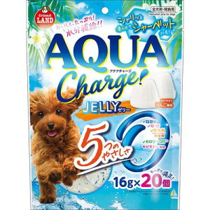 }J ANA`[W[[ 16g×20 DA-386