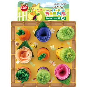 }J o[hJ[jo 킭킭n[xXg M 1 MB-404