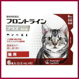 [メール便発送限定送料無料][動物用医薬品 猫用] フロントラインプラス キャット 6本入 (0.5mL×6)