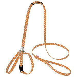 yeBI CAT HARNESS hbgn[lX[h IW [[֑Ή]