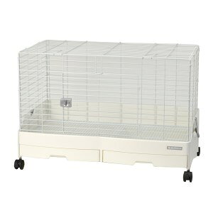 OW SANKO C[W[z[G{80WH WS(C[XmRdl)