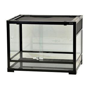 OW SANKO REPTI WILD peI ubN BK6045 (঒ށEޗpP[W)