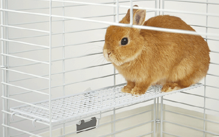 サンコー985 イージーホームハイメッシュ