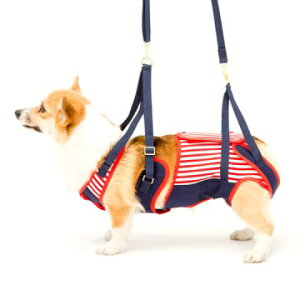 g{ s⏕n[lXLaLaWalk(EH[N) ^ER[M[p Z[[} CM