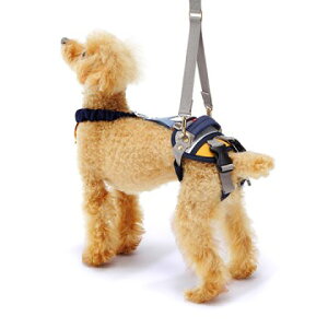 g{ s⏕n[lXLaLaWalk(EH[N)z[h^p {[_[}X^[h