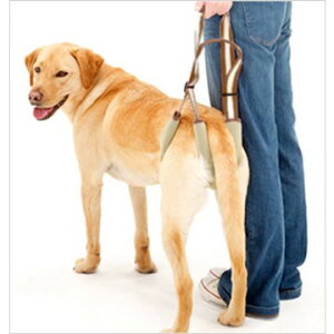 ◇トンボ 歩行補助ハーネスLaLaWalk(ララウォーク) STEP (中・大型犬用) ウッドブラウン