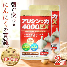 【ポイント10倍！残暑を応援キャンペーン中】 アリシンの力 4000EX 【2袋】 120粒 約2か月分 にんにくサプリ アリシンサプリ ニンニク 臭わない まだまだ厳しい残者に 高濃度アリシン にんにく 元気 スタミナ 働き盛り シニア 男 女