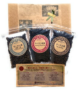 {y  3 Mtg Zbgy E[ L[}g v[A z