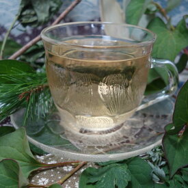 よろずの森の養生茶