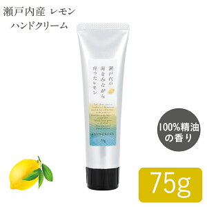 yEǐՉ\[ցz YknhN[ ˓Y  nhN[ 75g 1/2 { A} nhPA AR ێ Ykz XLPA Mtg v[