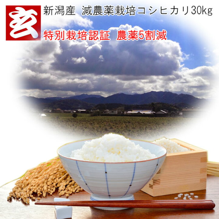 楽天市場】新米 減農薬 玄米 30kg 送料無料 新潟産 1等米 減農薬栽培 コシヒカリ 農薬5割減 産年:令和4年 生産者:辻勉 : 産地直送米 専門店『玄米屋たるい』 楽天市場】新米 減農薬 玄米 30kg 送料無料 新潟産 1等米 減農薬栽培 コシヒカリ 農薬5割減 産年:令和4年 生産者:辻勉 : 産地直送米 専門店『玄米屋たるい』
