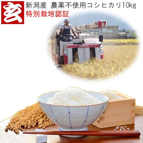 無農薬 玄米 10kg 送料無料 新潟産 無農薬栽培コシヒカリ 産年：令和5