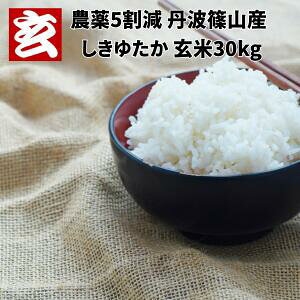 V  30kg  đI\ _5 䂽Č30kg YNFߘa7N YnFOgRY YҁFcM玩Ɛ͔œy肩炱Aǔ؂N̂