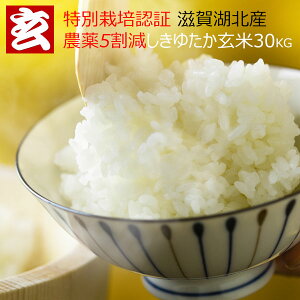 玄米 送料無料 滋賀県湖北産限定 しきゆたか30kg 生産者代表：八若和美氏 産年：令和3年産精米指定選べます。白米から玄米まで！