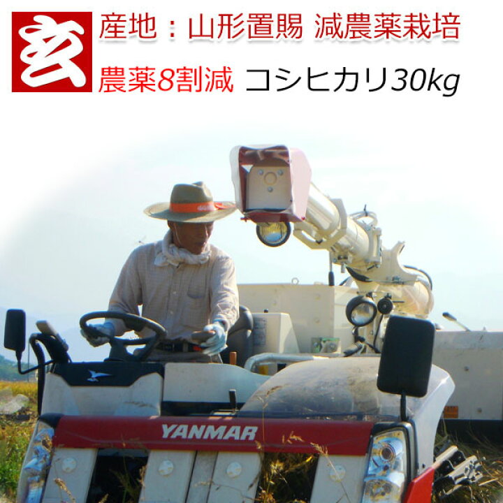 楽天市場】新米 米 30kg 送料無料 コシヒカリ 精米選択可能 農薬8割減  
