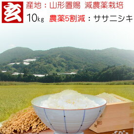 新米 米 10kg 送料無料 精米選択可能 農薬5割減 減農薬 ササニシキ玄米 産年：令和6年 産地：山形県置賜産 生産者：小林 亮氏「ササニシキ」は、食感・旨味、あっさりとした炊き上り。アミロース含量が高いので粘りの少ないお米。和食にお勧めです