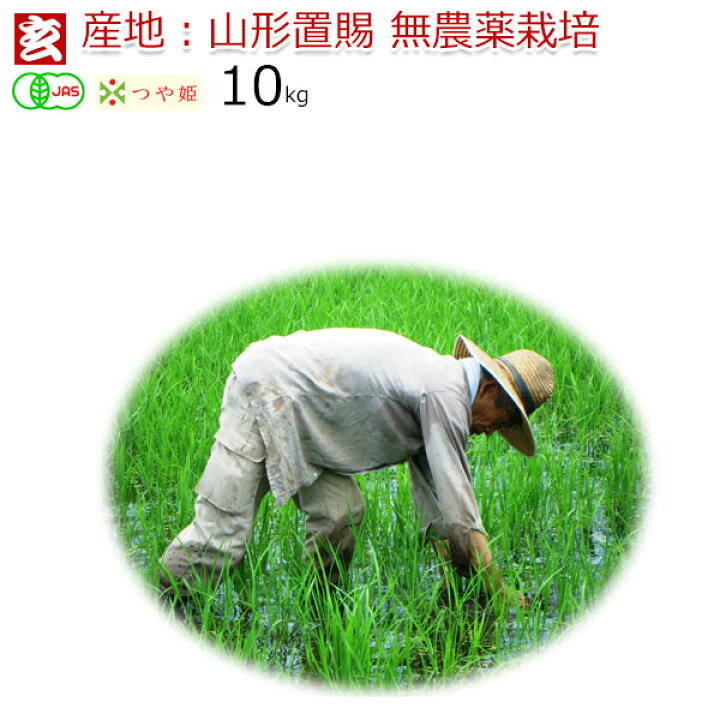 楽天市場】新米 無農薬 玄米 10kg 送料無料 JAS有機認証 1等米 無農薬つや姫 山形県産 置賜地区限定産年:令和4年 生産者:小林 亮 : 産地直送米専門店『玄米屋たるい』 楽天市場】新米 無農薬 玄米 10kg 送料無料 JAS有機認証 1等米 無農薬つや姫 山形県産 置賜地区限定産年:令和4年 生産者:小林 亮 : 産地直送米専門店『玄米屋たるい』