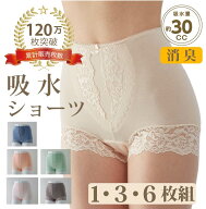120万枚突破 楽天1位 尿漏れパンツ 女性 30 cc レディース シルエットすっきりレースショーツ 女性用 お…