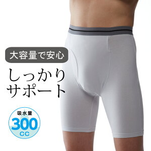 s300ccE{tARpc jp e T|[g300 Pi O[ փpc d  100ccȏ 