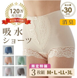 【色おまかせ他3枚組（WK05）】尿漏れパンツ 女性用 ＼120万枚突破／ シルエットすっきりレースショーツ 30cc 尿もれ おしゃれ 送料無料 M L LL 3L 吸水ショーツ レディース 失禁パンツ 軽失禁用品 シニア 高齢者 綿 ちょい漏れ ときめきラボ ハリコ犬の渡嘉毛織