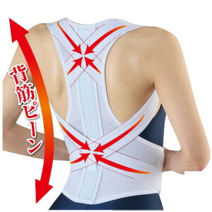 p w  b T|[^[ jp nw؃xg { pT|[g w؃T|[g b w L΂ pxg VjA 40 50 60 70 80 NObY Xgb` w Lw 