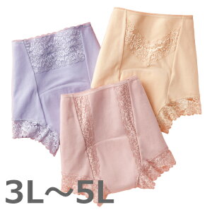 傫TCY AR pc z҂tBbg SV[c 3Fg 3L 4L 5L zʖ80cc AR ΍ pc Ci[ fB[X wl ~ZX VjA    x[W p[v