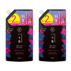  m2Zbgn@Ȃ߂炩X[XPARfBVi[@l֗p@660mL×2 zBuyvΏۏiixƓj