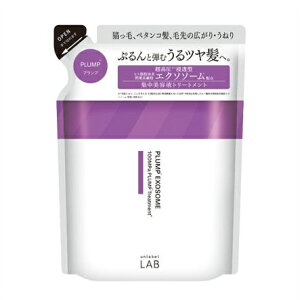 ���[���� �A�����[�x�����{�@EX�o�E���X�@�W�����e�t�g���[�g�����g�@���[�����b�g���x���_�[�̍���@�߂����p�@310mL �E���[���ւɂĔ����v���܂�