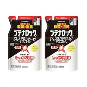 [ [2Zbg]ueibN fBJ\[vtbg{fB ߂p @250ml×2 E[ւɂĔv܂