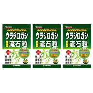 送料無料メール便 ［3個セット］ウラジロガシ流石粒　240粒入り×3個 ・メール便にて発送致します