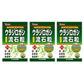 送料無料メール便 ［まとめ販売］ウラジロガシ流石粒　240粒入り×3個 ・メール便にて発送致します