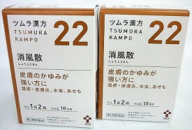 楽天市場 ツムラ 消 風 散の通販