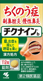 楽天市場 副 鼻腔 炎 に 効く 薬の通販