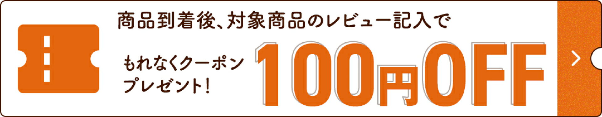 レビュー記入で100円OFF